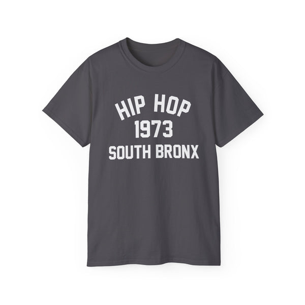 Hip Hop 1973 T Shirt (Heavyweight)