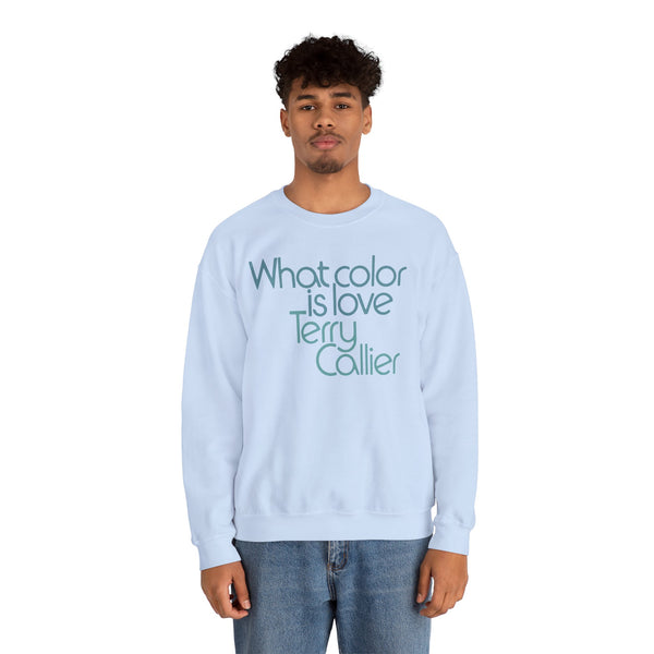 What Color Is Love Terry Callier Sweatshirt