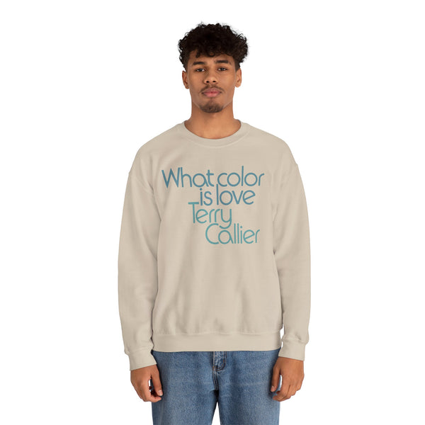 What Color Is Love Terry Callier Sweatshirt