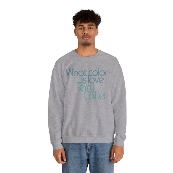 What Color Is Love Terry Callier Sweatshirt